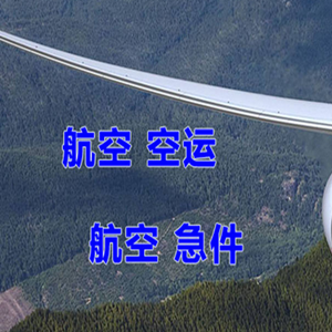 百色巴马机场托运快递-选东方航空和上海航空
